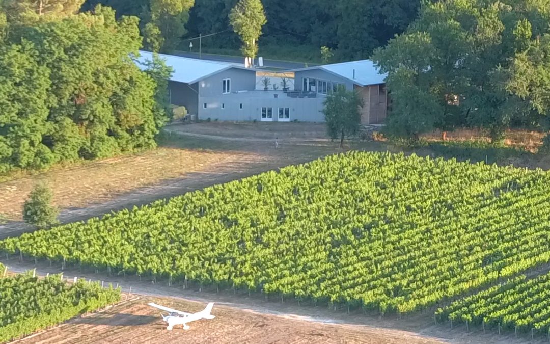 Château Vénus