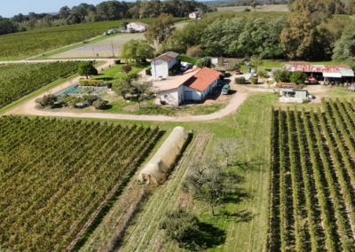 Château Cailleton