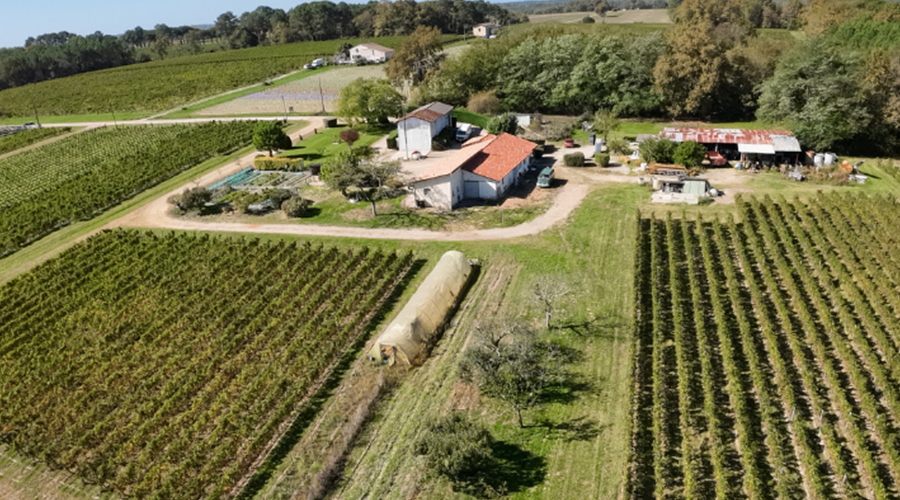 Château Cailleton