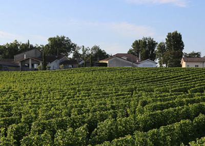 Château Lassalle