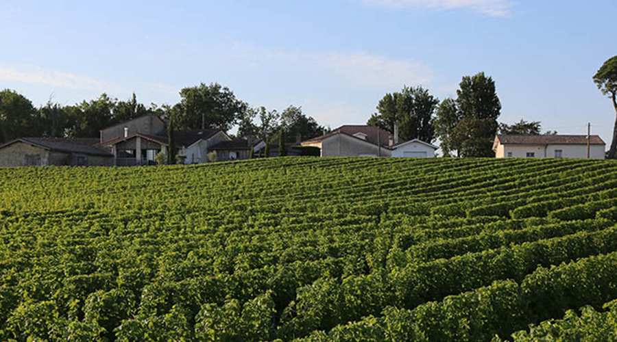 chateau_lassalle