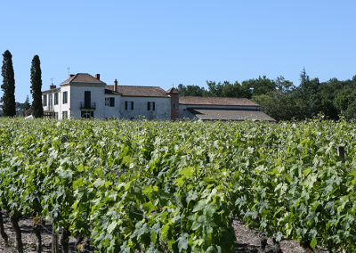 CHÂTEAU PETIT-MOUTA & CHÂTEAU CHANTELOISEAU