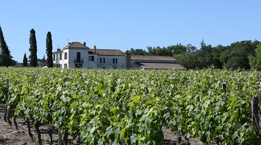 CHÂTEAU PETIT-MOUTA & CHÂTEAU CHANTELOISEAU